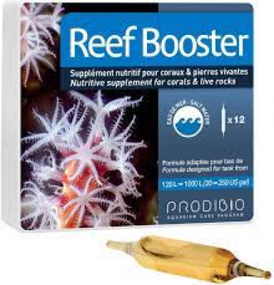 ReefBooster 12 Ampullen